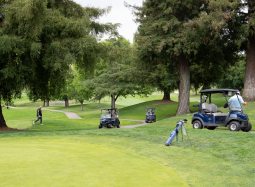 sior-golf-88